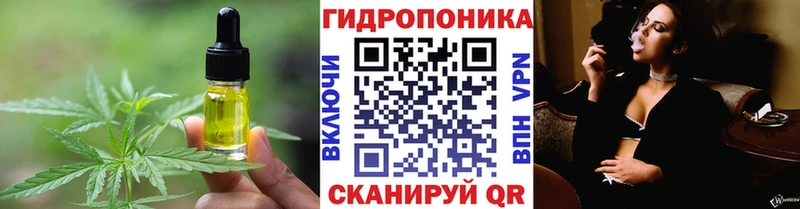 Canna-Cookies марихуана  сайты даркнета телеграм  Курганинск 