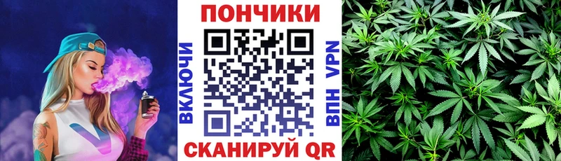 Каннабис планчик Курганинск